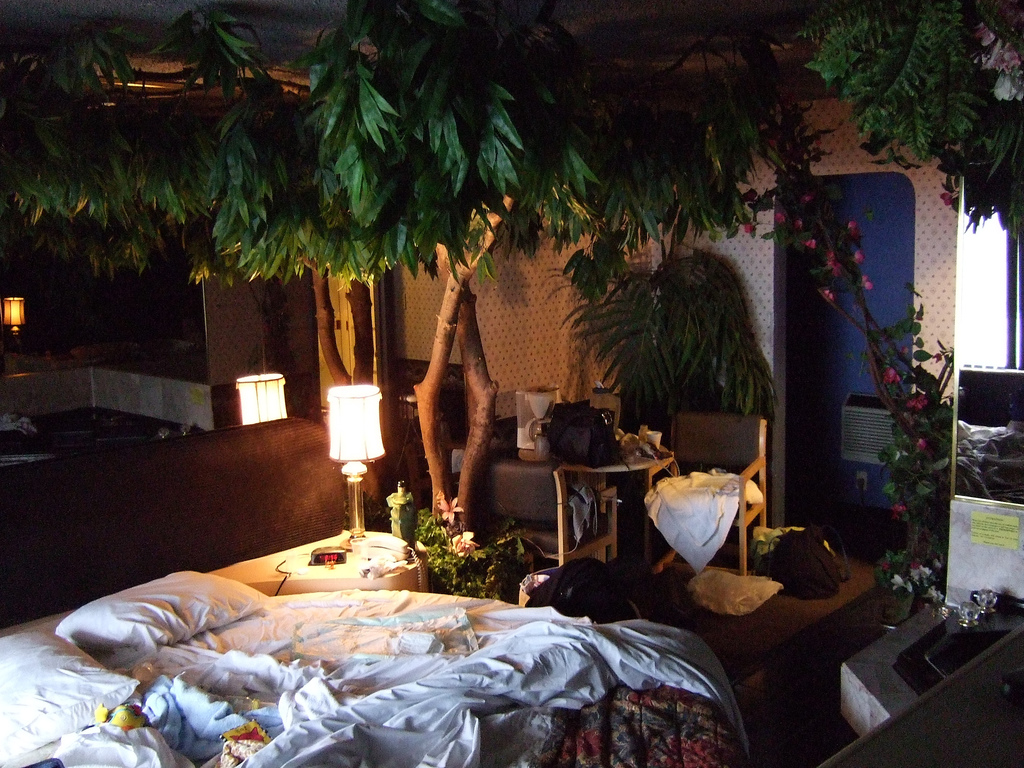 Plants inside rooms