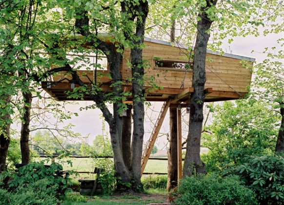 treehouse exterior