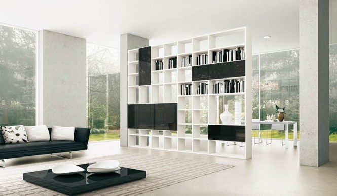 Shelves Black and White Open