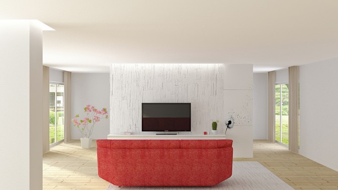 minimalist tv room