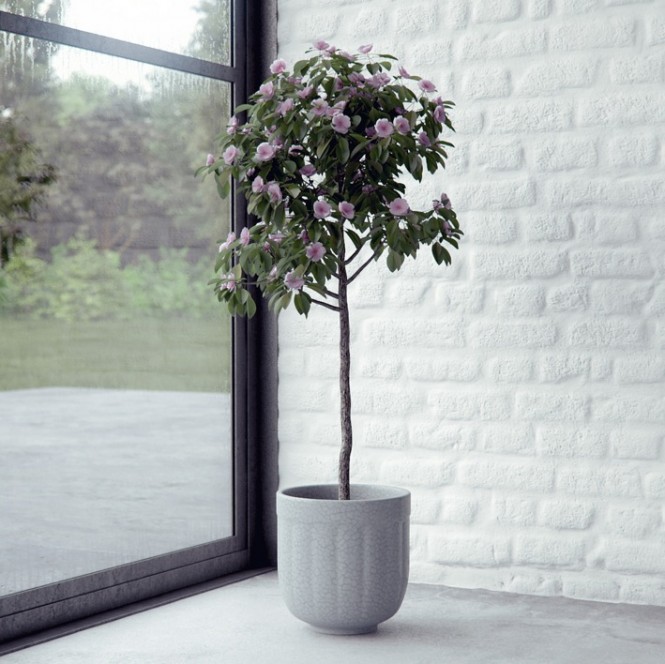 House plant render by BBB