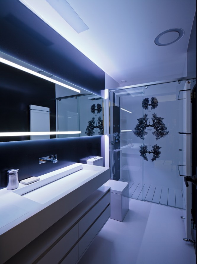 A long basin, storage unit, and illuminated vanity mirror run parallel along one wall of the main bathroom, towards a frosted shower screen that is printed with intriguing scientific illustrations, which compliment the cool clinical feel of the decor.