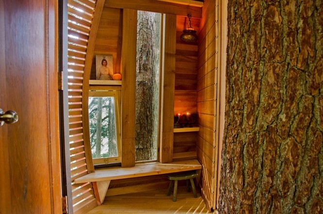 Wood clad interior