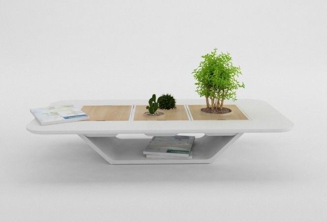 We love this concept planter table, it provides the perfect social spot for your leafy companion, and the tray pops out for easy pruning.