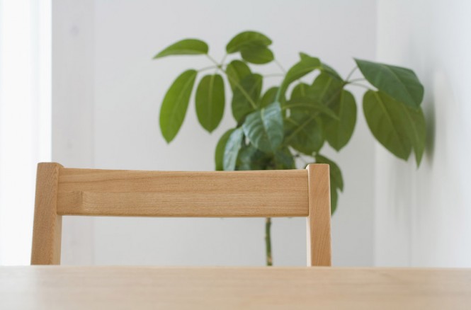 Pine dining chair