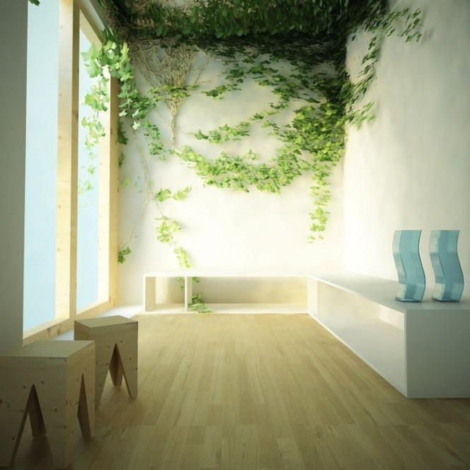 Indoor climbing plants form a beautiful feature for nature loving homeowners.