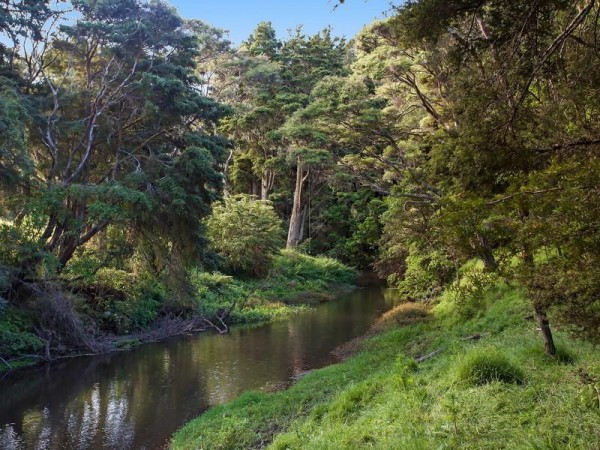 On the south of the property, a wide stream runs through a lush forest.
