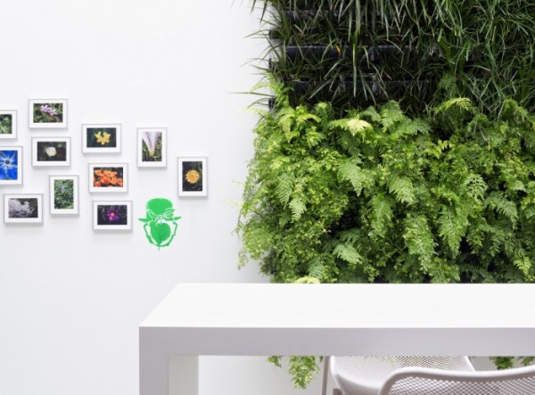 Wall planters