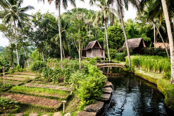 17 indonesian resort