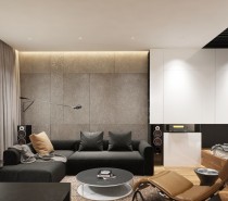 bachelor-apartment-design