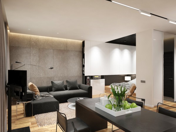 آپارتمان زیر 50 متر،طراحی آپارتمان زیر 50 متر،طراحی داخلی آپارتمان زیر 50 متر