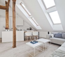 Go Black or White In These Two Sloped Ceiling Apartments