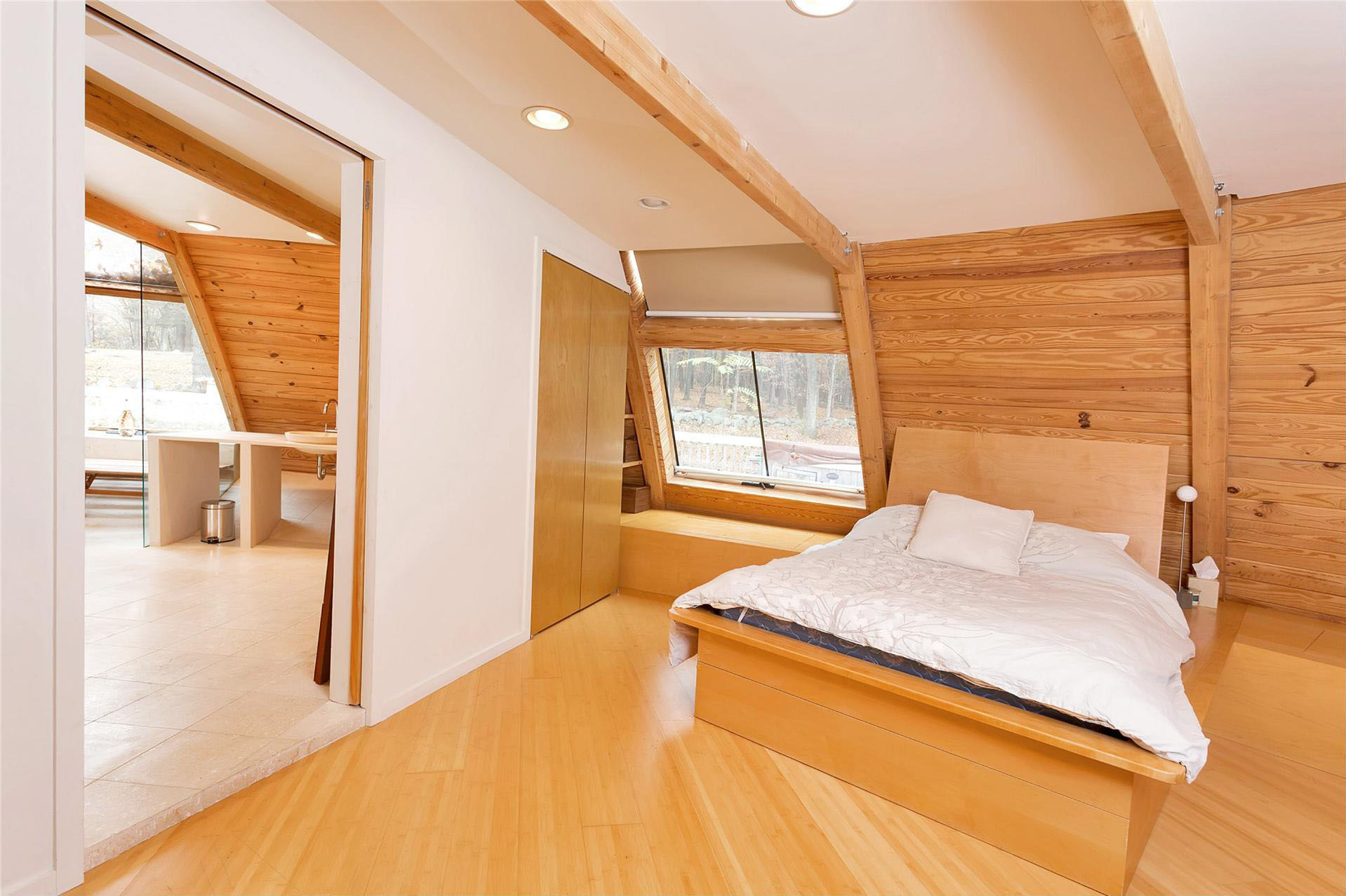 http://cdn.home-designing.com/wp-content/uploads/2015/06/sloped-roof-bedroom.jpeg