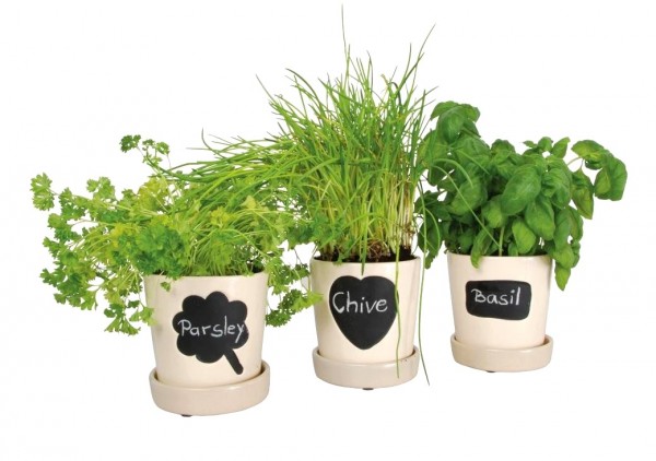 Get crafty with your herb pots when you label them with chalk in these chalkboard planters.