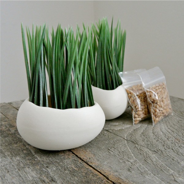 These porcelain egg planters come with wheatgrass seeds. They're stylish and healthy.