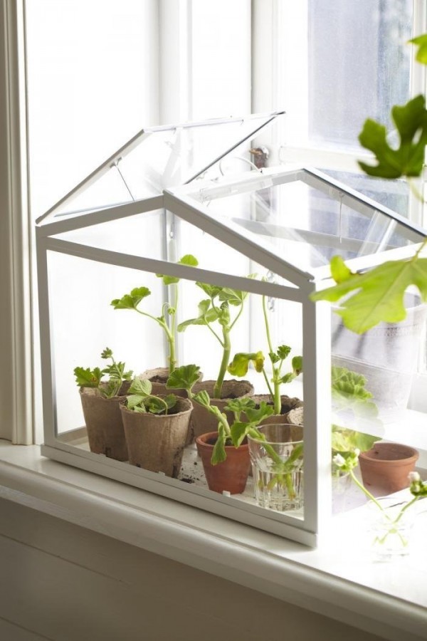 As a way to contain a few different adorable planters, consider this little windowsill greenhouse.