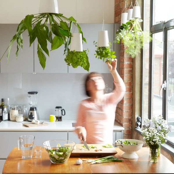 Hanging planters make it easier to grow things indoors and take up less space. These overhead herb planters feed water to the plants little by little so that there is no dripping.