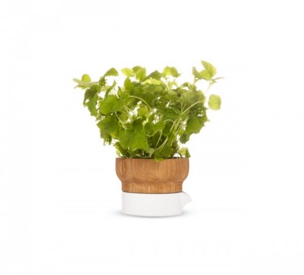 Another option for herbs, this pot uses both ceramic and wood for a stylish modern design.