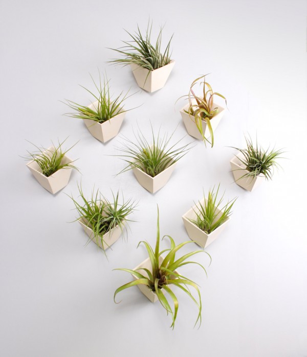 Create your own plant display with this Hive Planter that turns your wall into a living work of art.