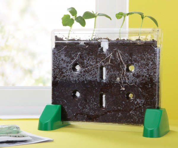 Perfect for kids who want to know more about how plants work, this transparent planter lets you get right to the root of things. Includes bean and pea seed packets.