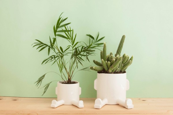 Add a little character to an otherwise minimalist planter with the Spread Sitting Pot from Wacamole.