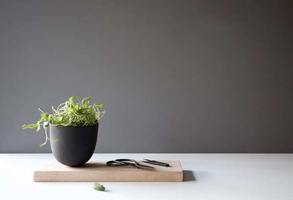 You don't need a ton of space to grow your own plants. This pot is ideal for a small kitchen where you might want to grow fresh herbs or other sprouts. The wooden stand can be used as a cutting board.