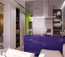 Each divider is useful and versatile. The purple volume is a kitchen countertop with cabinets in each side, and the wall between the kitchen and the bedroom serves as storage for clothes and features a handy bookshelf facing toward the social spaces.