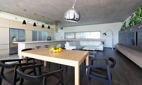 Designer Transforms Space With Indoor Plants
