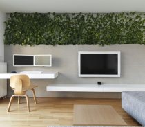 Calming Tranquil Interior Uses White Space, Plants and Art
