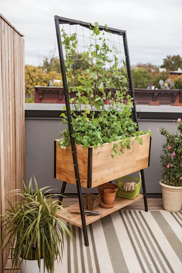 The Big List Of Self-Watering Planters For Stylish Gardening Anywhere