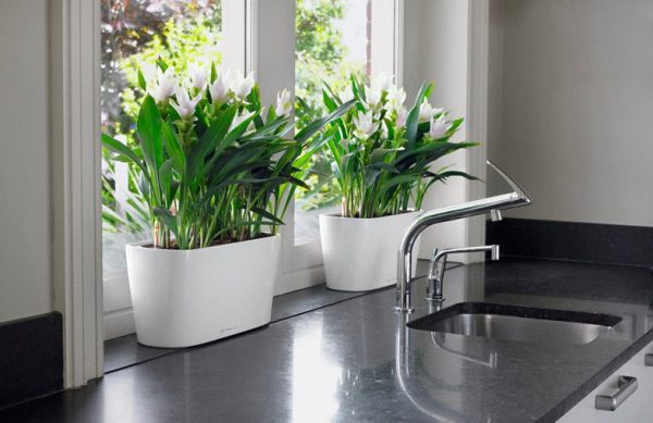 The Big List Of Self-Watering Planters For Stylish Gardening Anywhere