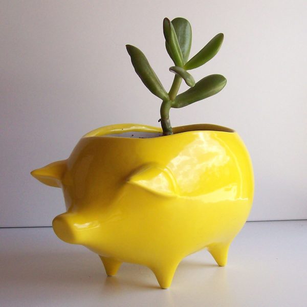 Color: Z Kucus Desktop Mini Pig Ornament Garden Plant Pot Home Office Decor Flower Pot Resin Pig Flower Pot Creative Desk 