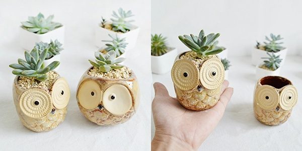 50 Unique Animal Planters To Help You Bring Nature Indoors