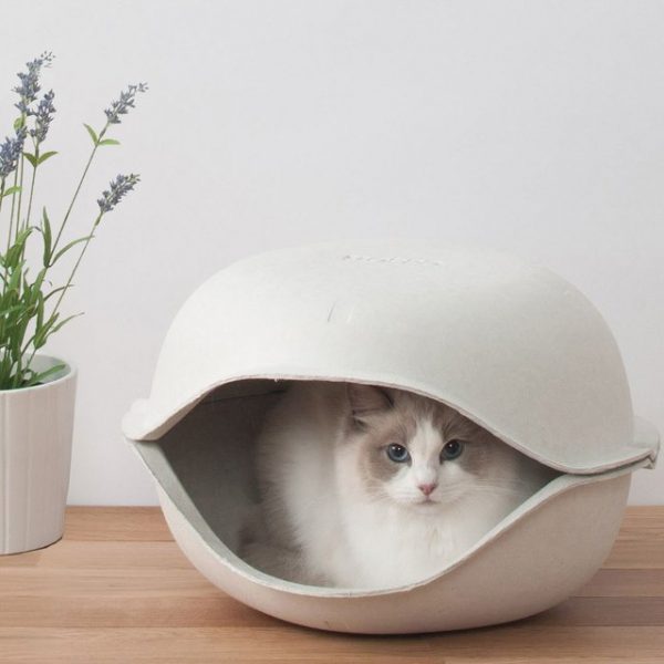 Super Stylish Cat Houses, Furniture & Home Essentials For The Discerning Cat Lover