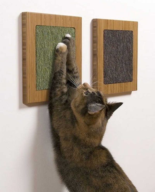 creative cat scratching post