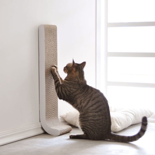 white cat scratching post