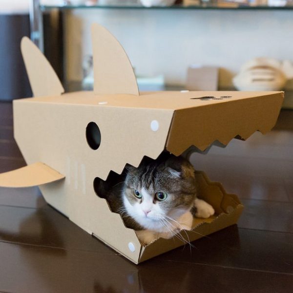 unique cat houses