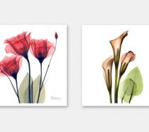 Product Of The Week: The New Generation Meural Digital Canvas