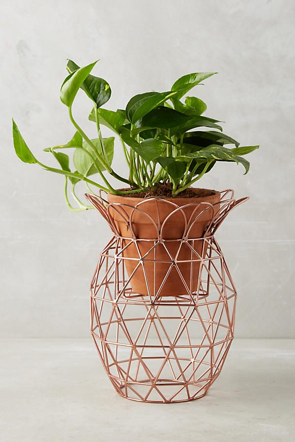 HOME DESIGNING: 42 Unique, Decorative Plant Stands For ...