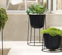 Product Of The Week: Beautiful Bent Wood Sculpture Planters