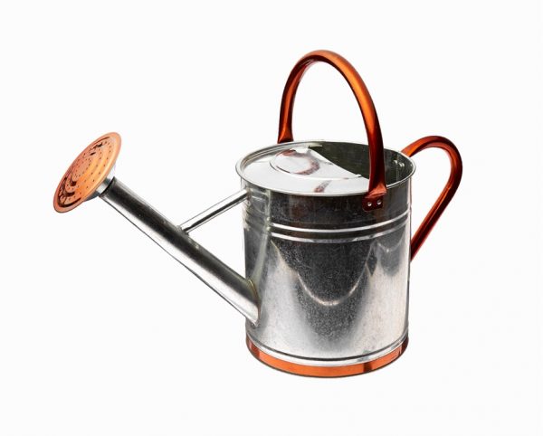 36 Unique Watering Cans That Also Serve As Decorative Items