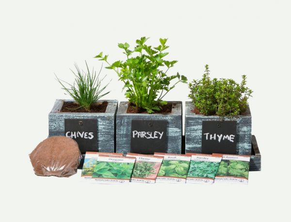 Mini Wooden Herb Plant Pot Blackboard Garden Kitchen Seed Flower Labels Tags NEW 