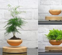 Cool Product Alert: Table Top Zen Garden