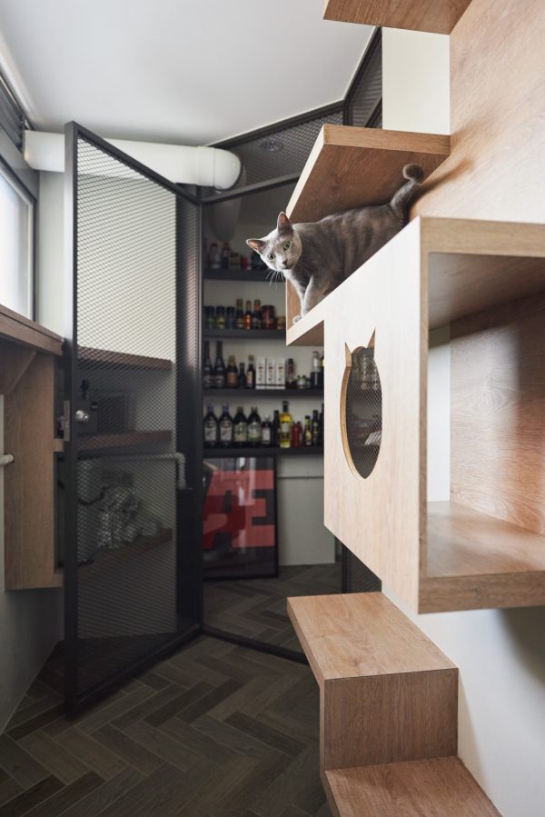 A Stylish Apartment With Cozy Spots for Cats