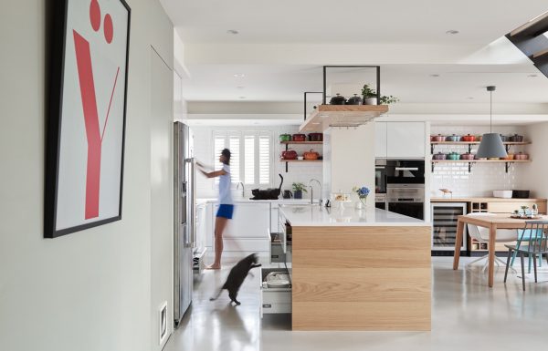 A Stylish Apartment With Cozy Spots for Cats
