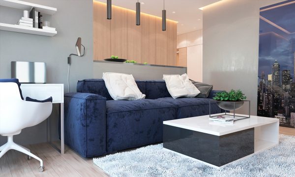 2 One-Bedroom Apartments with Modern Color Schemes