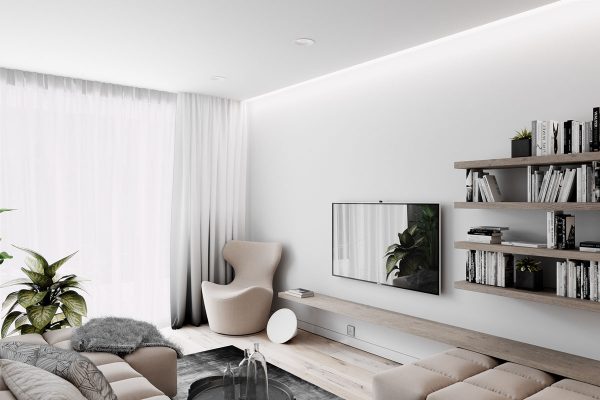 2 Simple, Modern Homes with Simple, Modern Furnishings