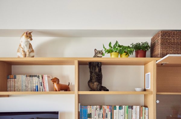 A Cute Vintage-Inspired House with Lots of Space for Kitties