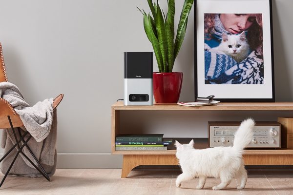 Cool Product Alert: A Pet Camera That Can Also Feed Your Pet