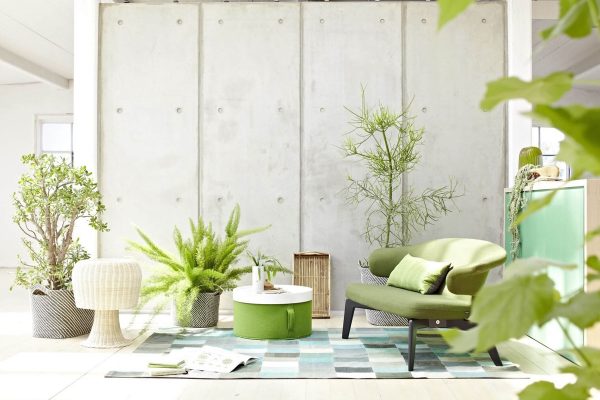 30 Gorgeous Green Living Rooms And Tips For Accessorizing Them